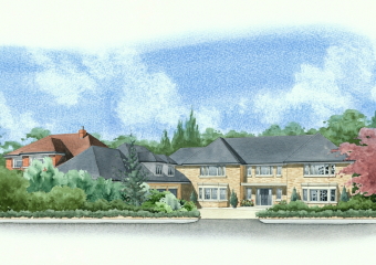 Now, as well as the background house being visible, the taller bushes behind the first row have been added. Now, as well as the background house being visible, the taller bushes behind the first row have been added.
